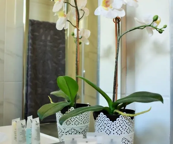 Apartamento Centre Vivere *